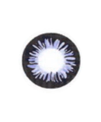 Wholesale Contact Lens Geo Sherbet Violet Wt-a31 Violet Contact Lens - 50 Pairs