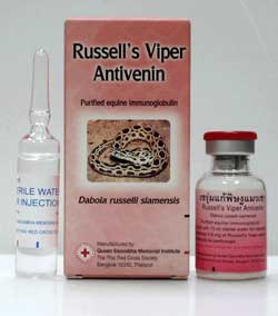 Thailand Escrow Service Red Cross Snake Bites Antivenom for Russell’s Viper Daboia Russelli Siamensis Snake